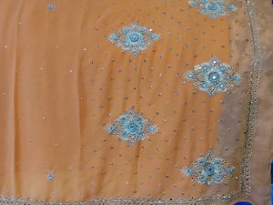 Elegant Embellished Saree