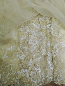 Ethnic Gown Party