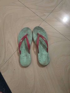 Blue Slipper New