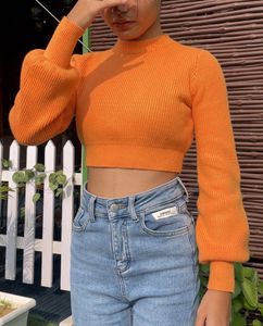 Zara Knit Crop Sweater