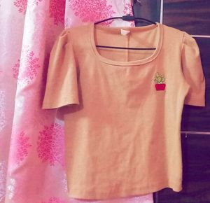 Nude Brown Top