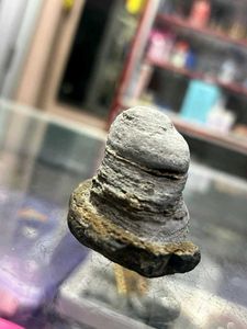 Two pieces of shivling found while digging