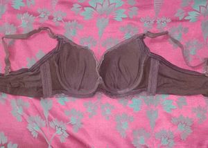 Lace Trim Pushup/Padded Bra