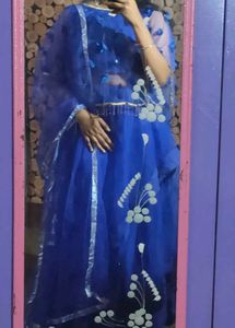 Blue Flower Mesh Top Lehnga  With Butterfly Blouse