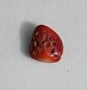 Real Red Coral