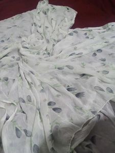 Chiffon Dupatta Printed