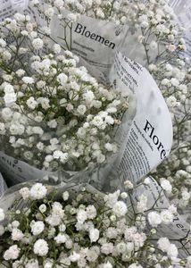 Dry Flower Baby Breathe Bouquet