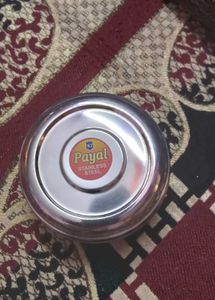 Payal Stainless Steel Container