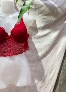 1011. Red Lace Bralette