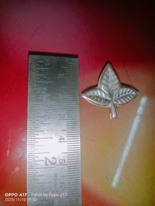 pure silver belpatra and eye&#39;s for shivji