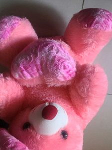 Pink Teddy Bear