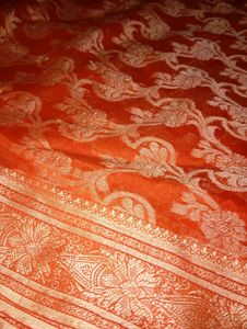 🧡😻 Orange Saree