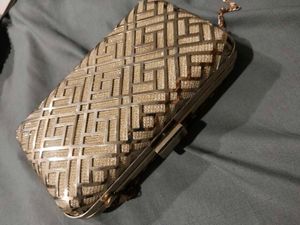 Elegant Clutch with Chain