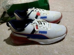Sports Shoe