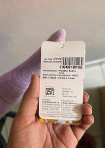 Cute Dinosaur Plush Toy