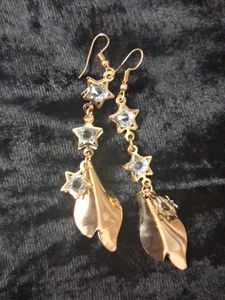 western  earrings