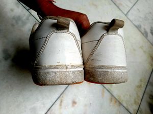 Campus White Sneakers