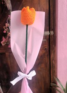 Single Tulip