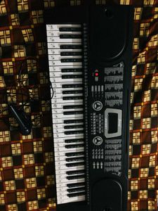 Karaoke Microphone