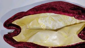Elegant Red Velvet Clutch