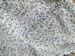 Cute Floral Tank Top