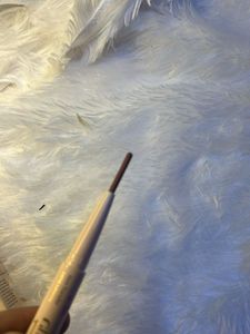 Glam21 Lipstick &amp; Liner