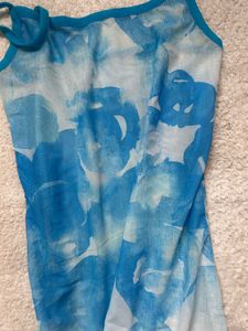 Sheer Chiffon Dress