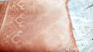 Tissue Saree 2