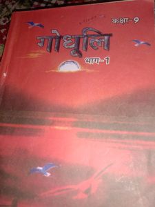 All books Of Class 9th State(Bihar) Board Hindi Mm