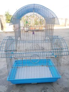 🐦 Brid Cage