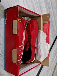 Puma Ferrari Theme Sneakers With Box