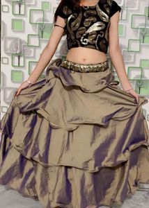 Beautiful Party Wear Lehnga Choli