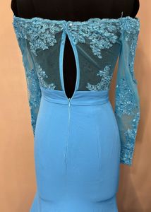 Blue Trail Gown