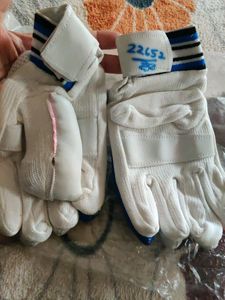 Cricket Hand Gloves