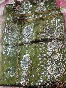 Jimmy Choo Saree