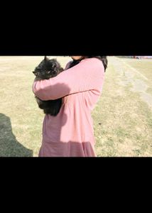 Peach Embroidered Top