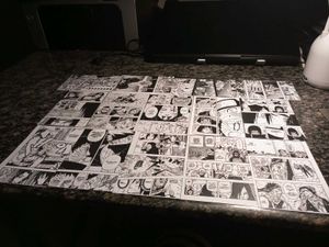 13 Manga pages of wall decoration