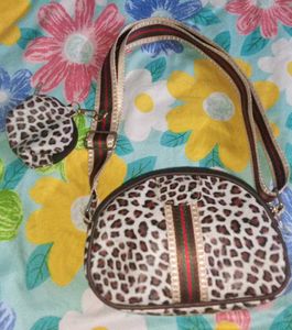 Leopard Print Crossbody Bag With Coin Pouch.
