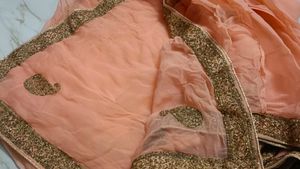 Peach Saree with Gold Embellishments