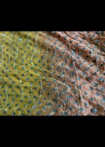 shade dupatta with heavy work