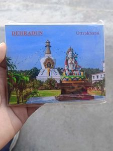 Dehradun Fridge Magnets 7 piece