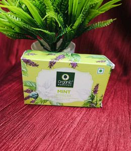Price Drop 🛍️Pack Of 3 Product