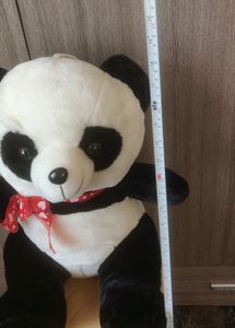 Panda Teddy