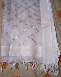 White Organza Dupatta