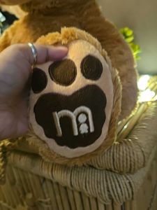 Adorable Teddy Bear Trio