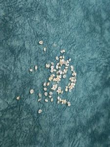 Loose Gemstones - Craft Supplies