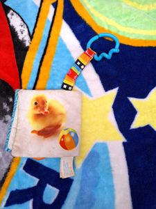 Playground My First Pets Book