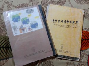 Class 11th Economics Books