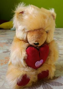 Teddy Bear