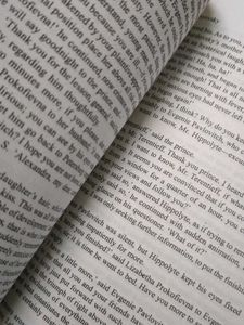 &#34;The Idiot&#34; by Fyodor Dostoevsky